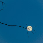 Mi Blog